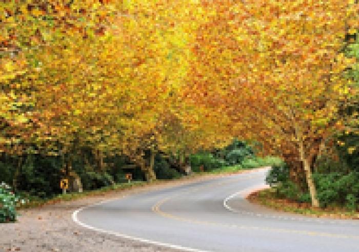 Já conhece a Rota Romântica?