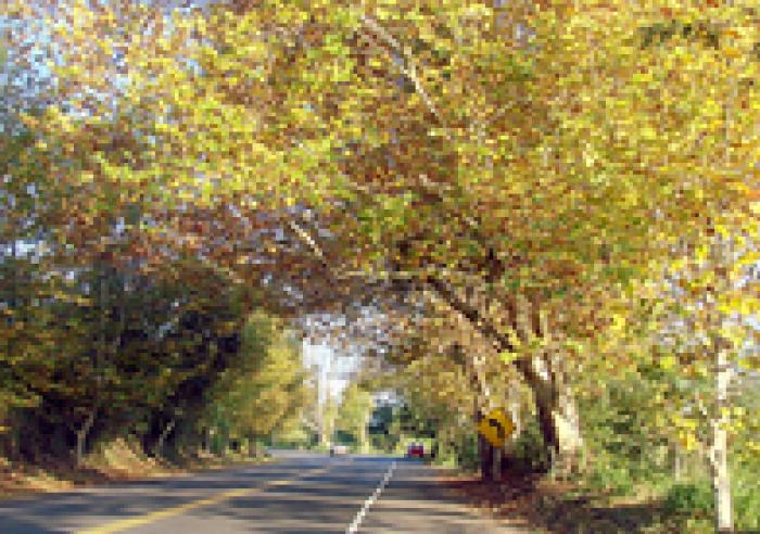 Já conhece a Rota Romântica?