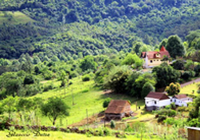 Já conhece a Rota Romântica?